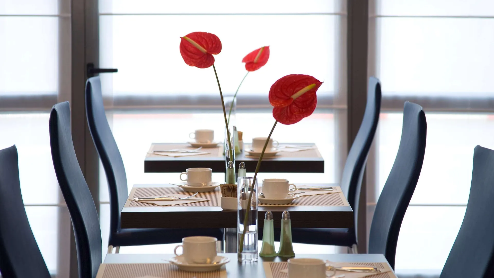Novotel Milano Malpensa Aeroporto Cardano Al Campo Hotel