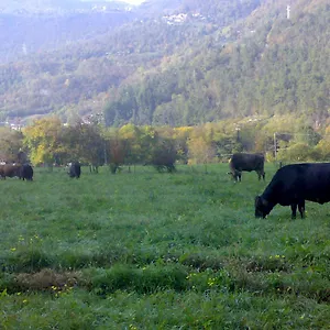 Biobiò Vobarno